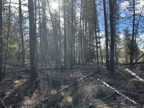 split rail road, La Pine, OR 97739 photo 12