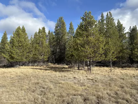 split rail road, La Pine, OR 97739 photo 17
