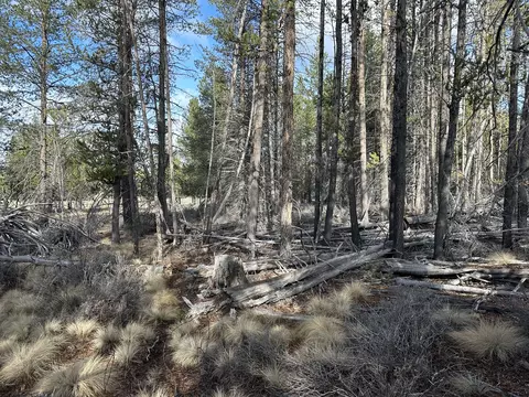 split rail road, La Pine, OR 97739 photo 15