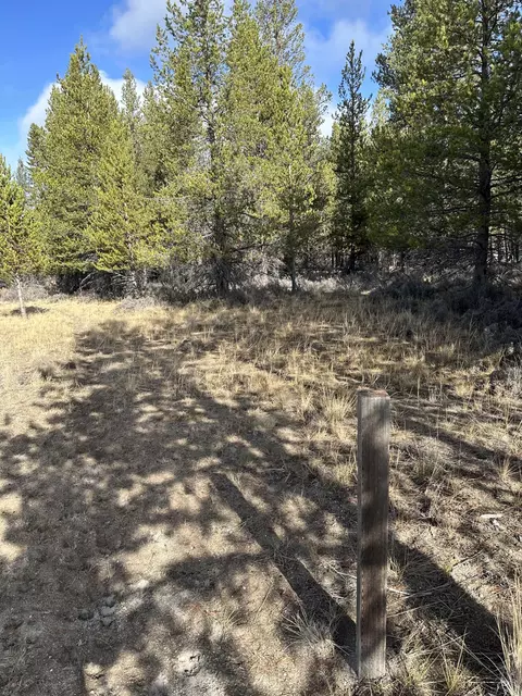split rail road, La Pine, OR 97739 photo 25