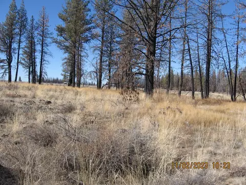 lot15 N Douglas Fir Ln, Bly, OR 97622