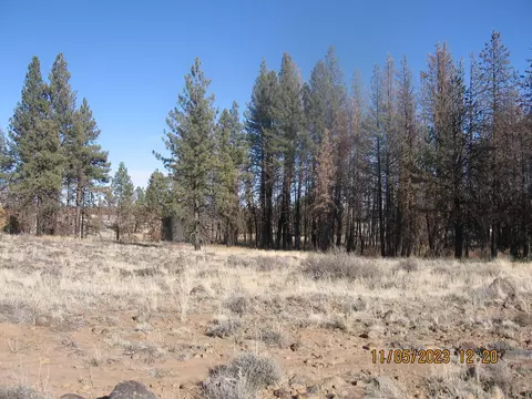 lot8 N Shasta Fir Ln, Bly, OR 97622
