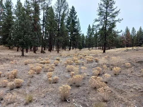 0 Arrowhead Ln #LOT 20, Chiloquin, OR 97624