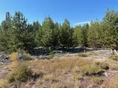 lot2 3 Scott View Dr, Chiloquin, OR 97624