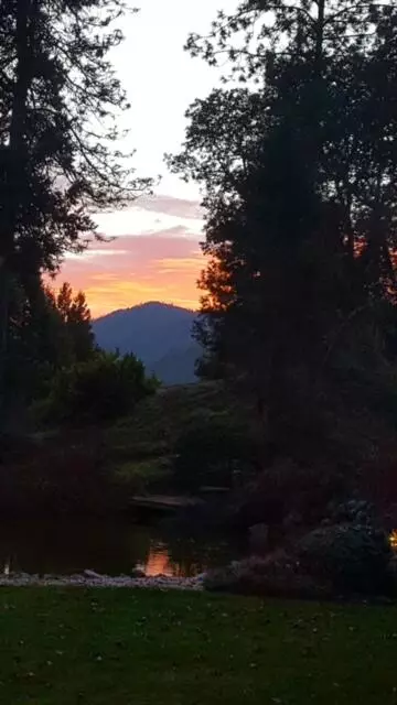 14130 Hwy 238, Applegate, OR 97530 photo 100