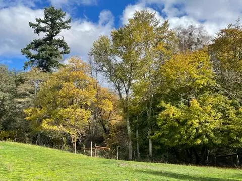 14130 Hwy 238, Applegate, OR 97530 photo 83