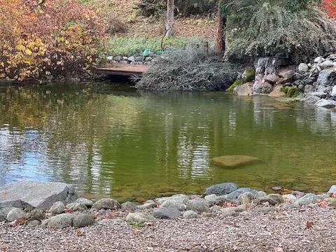14130 Hwy 238, Applegate, OR 97530 photo 70