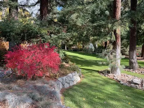 14130 Hwy 238, Applegate, OR 97530 photo 98