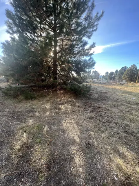 Tl 1100 Park View Drive, Chiloquin, OR 97624