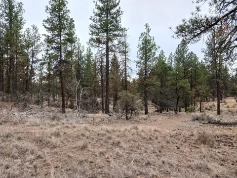 moccasin lane LOT 12 BLOCK 50, Chiloquin, OR 97624
