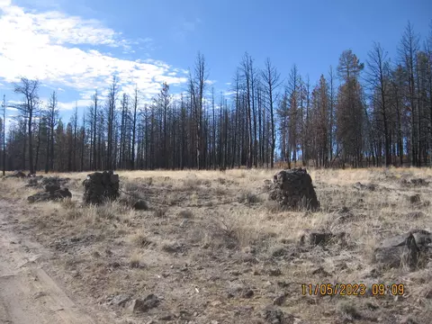 lot18 N White Oak Ln, Bly, OR 97622