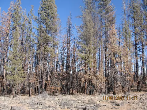 Lot 14n White Birch Way, Bly, OR 97622