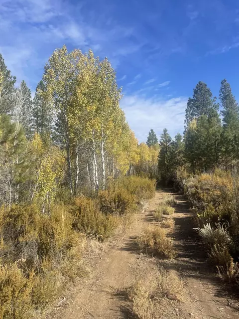 Mule Deer Dr & Antelope Dr, Sprague River, OR 97639