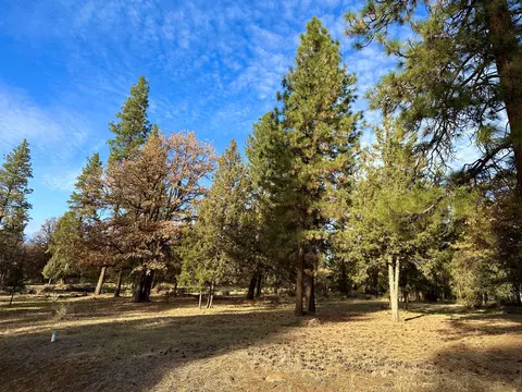 merganser road LOT 106, Klamath Falls, OR 97601