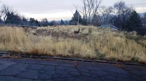 2040 Auburn St, Klamath Falls, OR 97601
