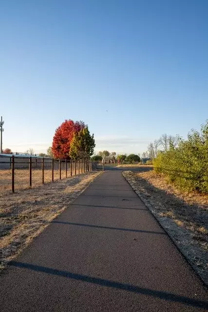 325 Cabbage Ln, Phoenix, OR 97535 photo 31