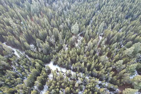 schoonover, Crescent, OR 97733 photo 6