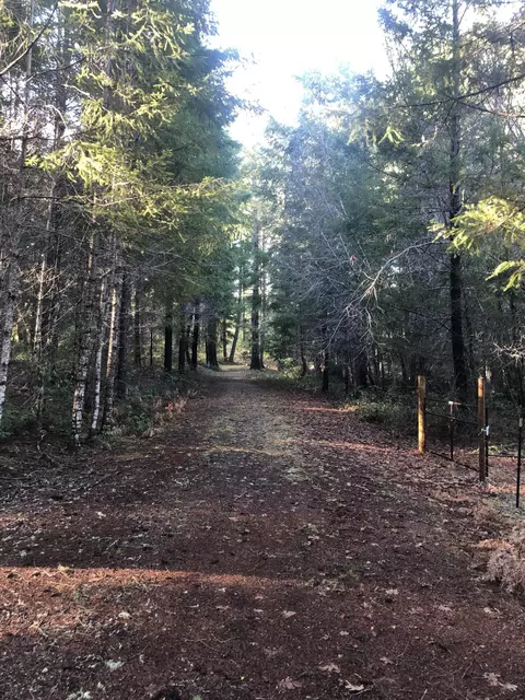 Idlewild Drive, Cave Junction, OR 97523