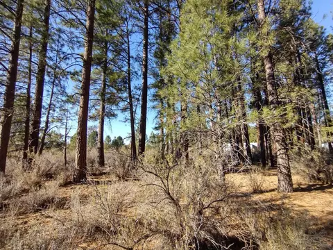 sagehen circle, Chiloquin, OR 97624 photo 6