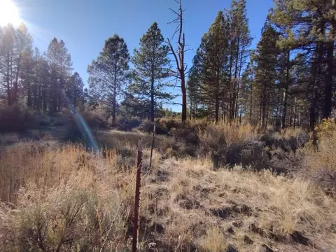 sagehen circle, Chiloquin, OR 97624 photo 10