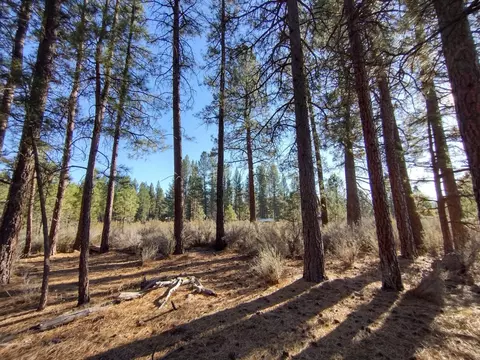 sagehen circle, Chiloquin, OR 97624 photo 9