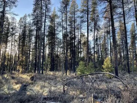 deacon drive, Chiloquin, OR 97624 photo 23