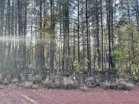 deacon drive, Chiloquin, OR 97624 photo 8