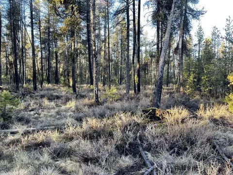 deacon drive, Chiloquin, OR 97624 photo 13