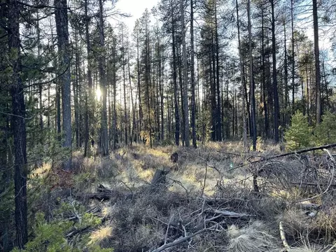 deacon drive, Chiloquin, OR 97624 photo 20