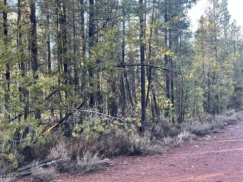 deacon drive, Chiloquin, OR 97624 photo 5