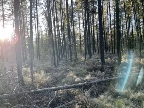 deacon drive, Chiloquin, OR 97624 photo 16
