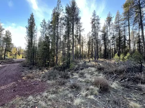 deacon drive, Chiloquin, OR 97624 photo 31
