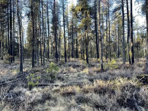 deacon drive, Chiloquin, OR 97624 photo 14