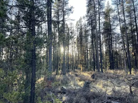 deacon drive, Chiloquin, OR 97624 photo 22