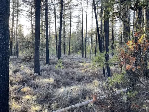 deacon drive, Chiloquin, OR 97624 photo 11