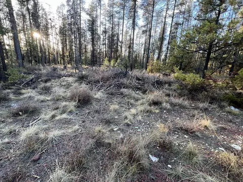 deacon drive, Chiloquin, OR 97624 photo 34