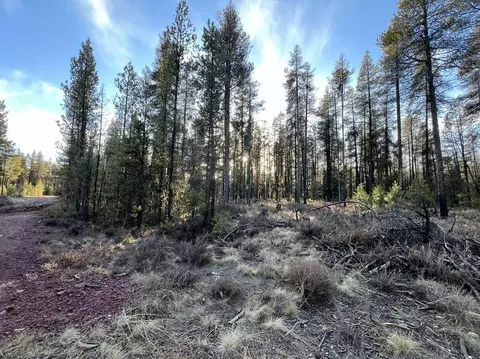 deacon drive, Chiloquin, OR 97624 photo 30