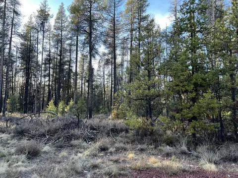 deacon drive, Chiloquin, OR 97624 photo 26