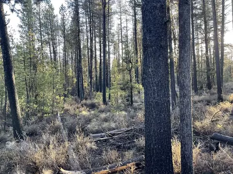 deacon drive, Chiloquin, OR 97624 photo 18