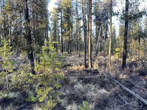 deacon drive, Chiloquin, OR 97624 photo 12