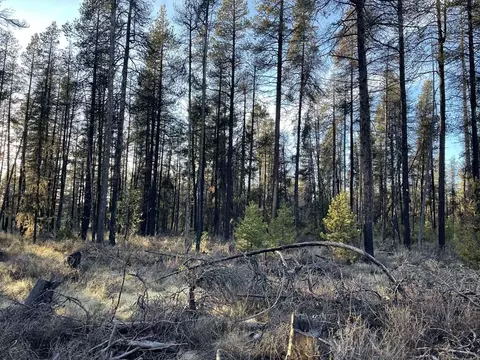 deacon drive, Chiloquin, OR 97624 photo 19