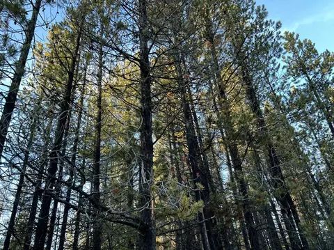 deacon drive, Chiloquin, OR 97624 photo 36