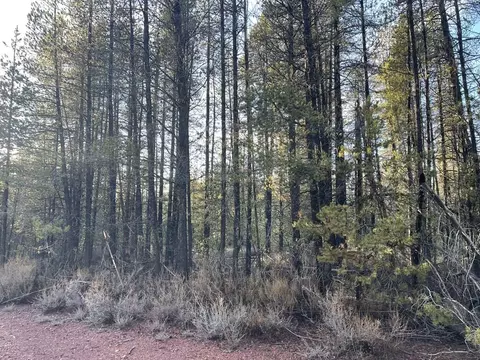 deacon drive, Chiloquin, OR 97624 photo 4