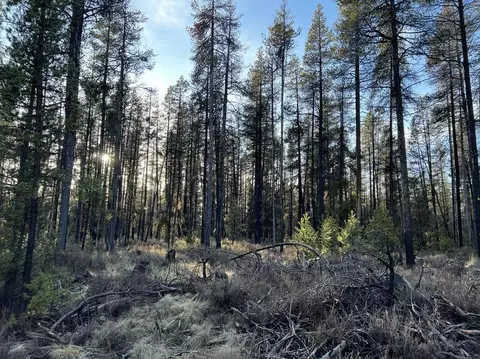 deacon drive, Chiloquin, OR 97624 photo 28