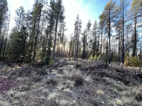 deacon drive, Chiloquin, OR 97624 photo 33