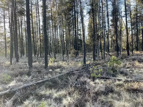 deacon drive, Chiloquin, OR 97624 photo 15