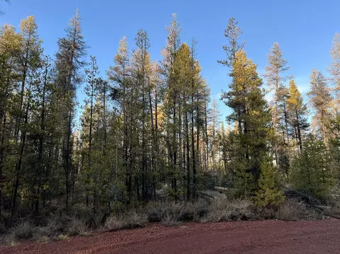 deacon drive, Chiloquin, OR 97624 photo 25