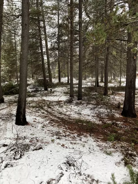 52862 Day Rd, La Pine, OR 97739 photo 2