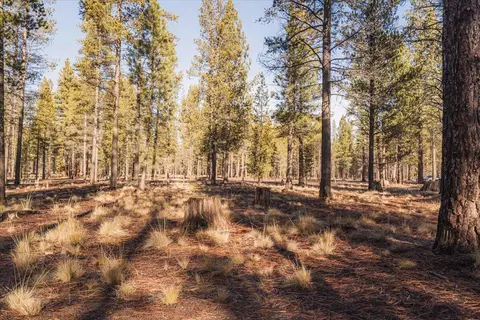 17851 Preservation Loop #426, Bend, OR 97707 photo 5