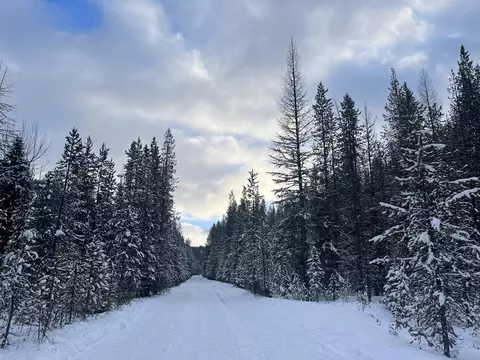Olive Creek Road, Granite, OR 97877